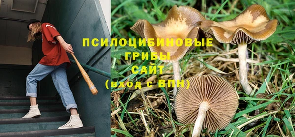винт Арсеньев