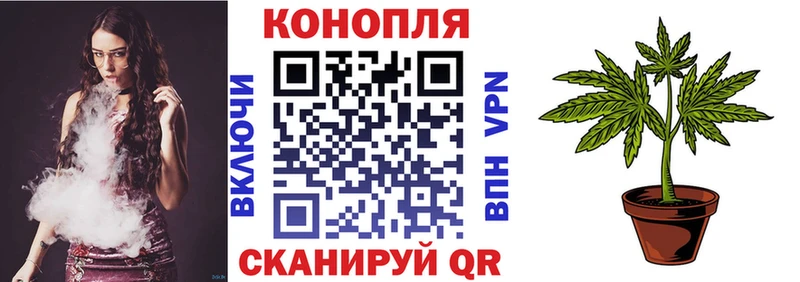 Канабис сатива  закладка  Микунь 